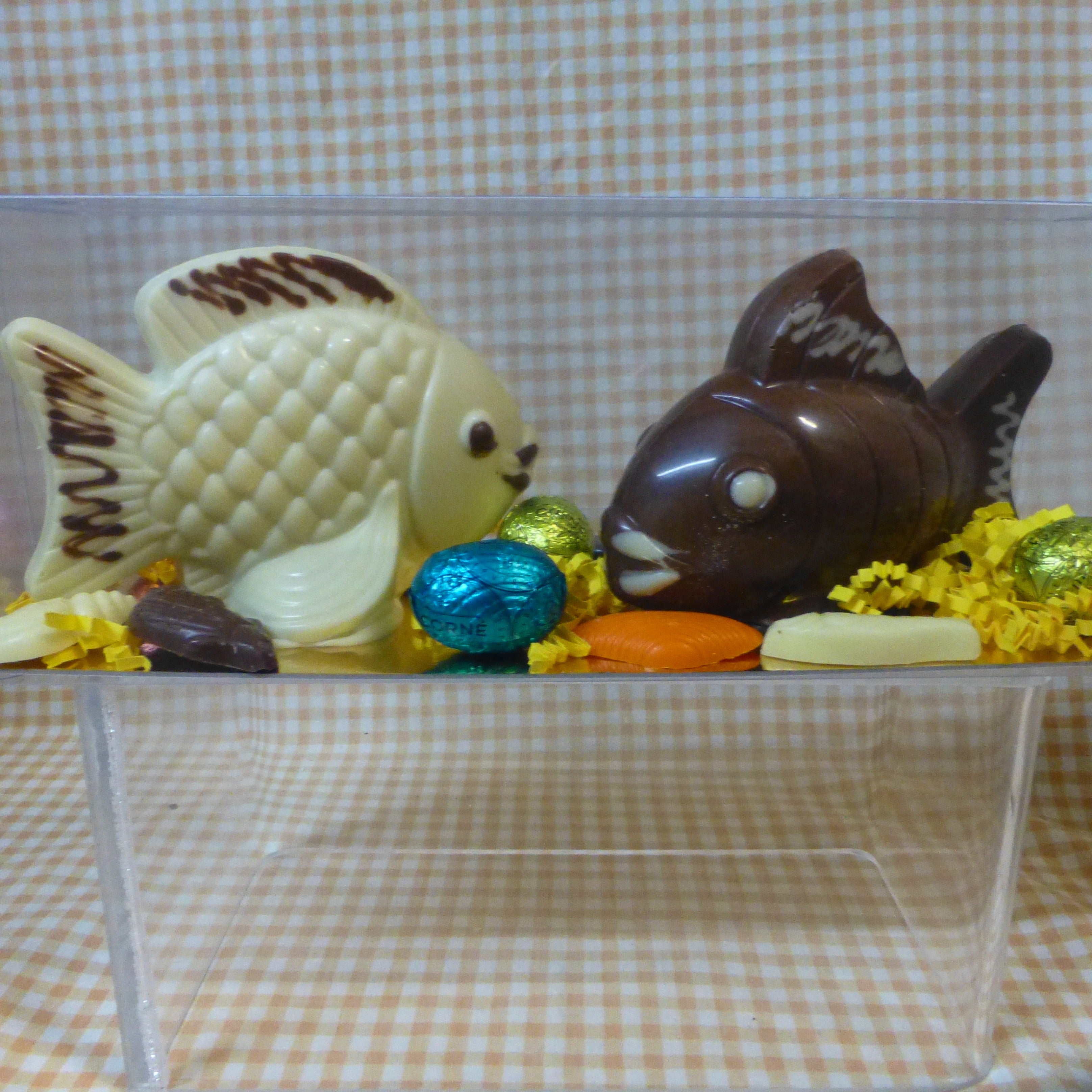 POISSONS en DUO ~ 200 grs