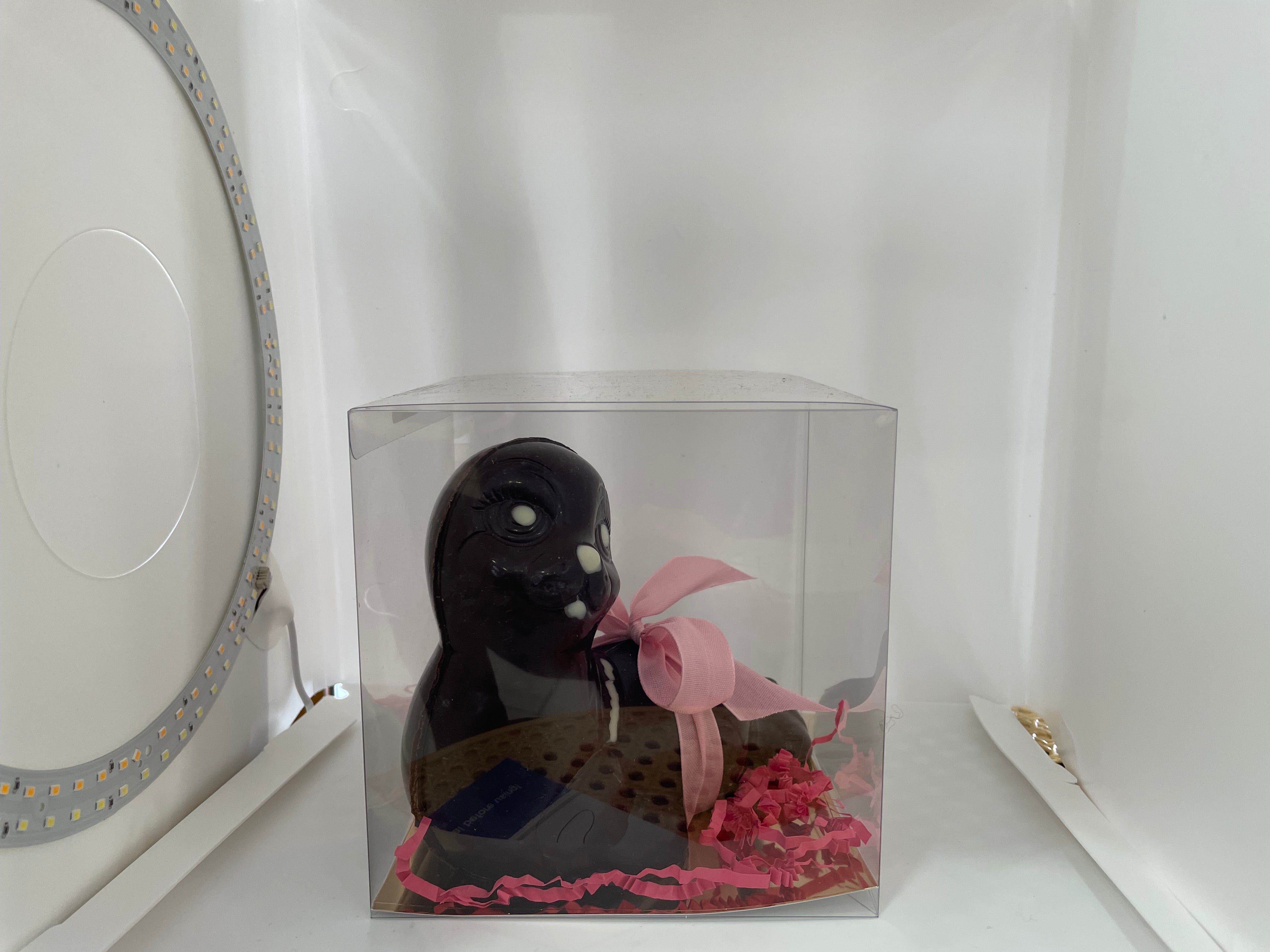Phoque 300g